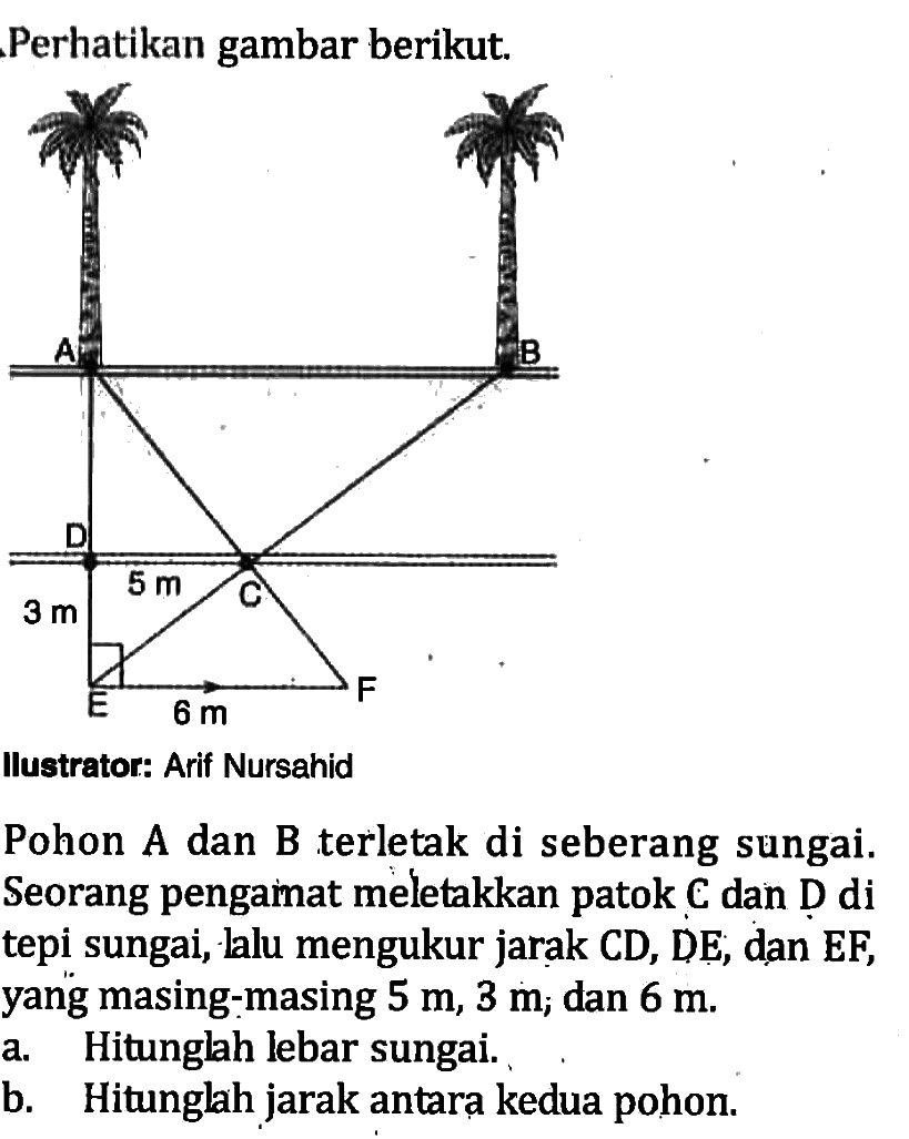 Perhatikan gambar berikut.Ilustrator: Arif NursahidPohon A dan B terletak di seberang sungai. Seorang pengainat meletakkan patok  C  dan D di tepi sungai, lalu mengukur jarak CD, DE, dan EF, yang masing-masing  5 m, 3 m, dan  6 m.a. Hitunglah lebar sungai.b. Hitunglah jarak antara kedua pohon.