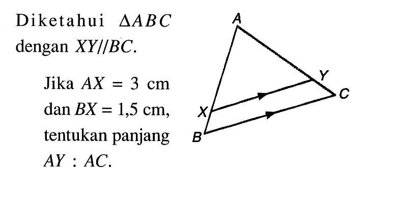 Diketahui  segitiga ABC  dengan  XY// BC . A X Y B CJika  AX=3 cm   dan BX=1,5 cm , tentukan panjang  AY: AC . 