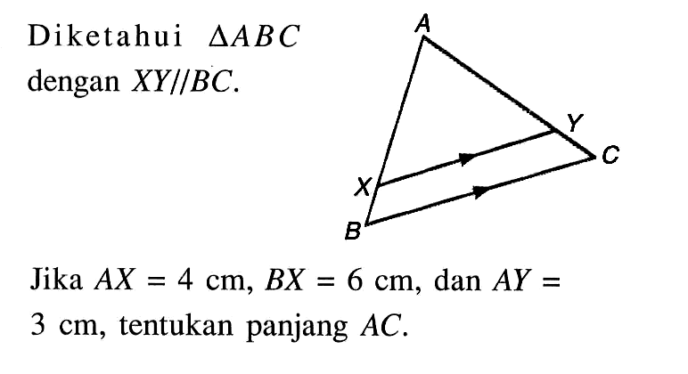 Diketahui segitiga ABC dengan XY // BC. A X Y B CJika AX=4 cm, BX=6 cm, dan AY= 3 cm, tentukan panjang AC.