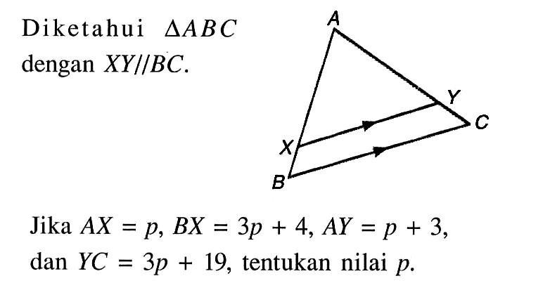 Diketahui  segitiga ABC dengan XY // BC. A X Y B C Jika AX=p, BX=3p+4, AY=p+3, dan YC=3p+19, tentukan nilai p.