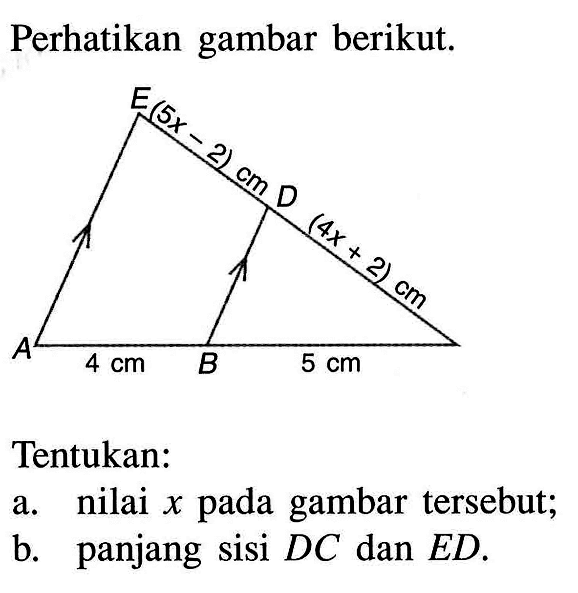 Perhatikan gambar berikut. E (5x-2) cm D (4x+2) cm A 4 cm B 5 cm Tentukan: a. nilai x pada gambar tersebut; b. panjang sisi DC dan ED. 