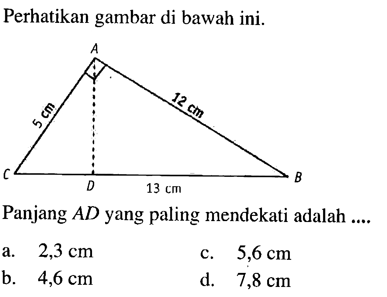 Perhatikan gambar di bawah ini. 5 cm 12 cm 13 cm Panjang AD yang paling mendekati adalah .... a. 2,3 cm c. 5,6 cm b. 4,6 cm d. 7,8 cm