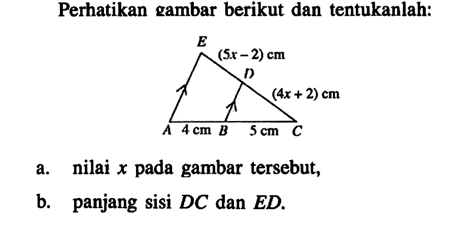 Perhatikan gambar berikut dan tentukanlah:E (5x-2) cm D (4x+2) cmA 4 cm B 5 cm Ca. nilai  x  pada gambar tersebut,b. panjang sisi DC dan ED.