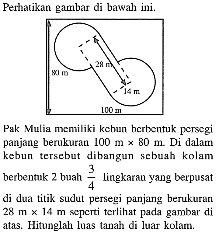 Perhatikan gambar di bawah ini. 80 m 28 m 14 m 100 m 
Pak Mulia memiliki kebun berbentuk persegi panjang berukuran 100 m x 80 m. Di dalam kebun tersebut dibangun sebuah kolam berbentuk 2 buah  3/4 lingkaran yang berpusat di dua titik sudut persegi panjang berukuran  28 m x 14 m seperti terlihat pada gambar di atas. Hitunglah luas tanah di luar kolam.