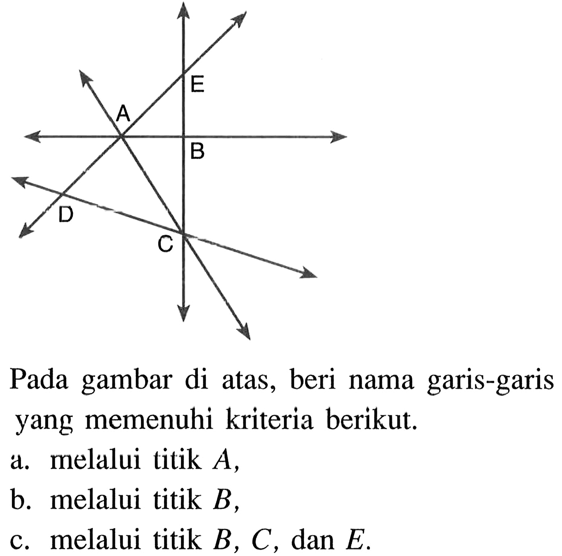 Pada gambar di atas, beri nama garis-garis yang memenuhi kriteria berikut.a. melalui titik A,b. melalui titik B,c. melalui titik B,C,dan E.