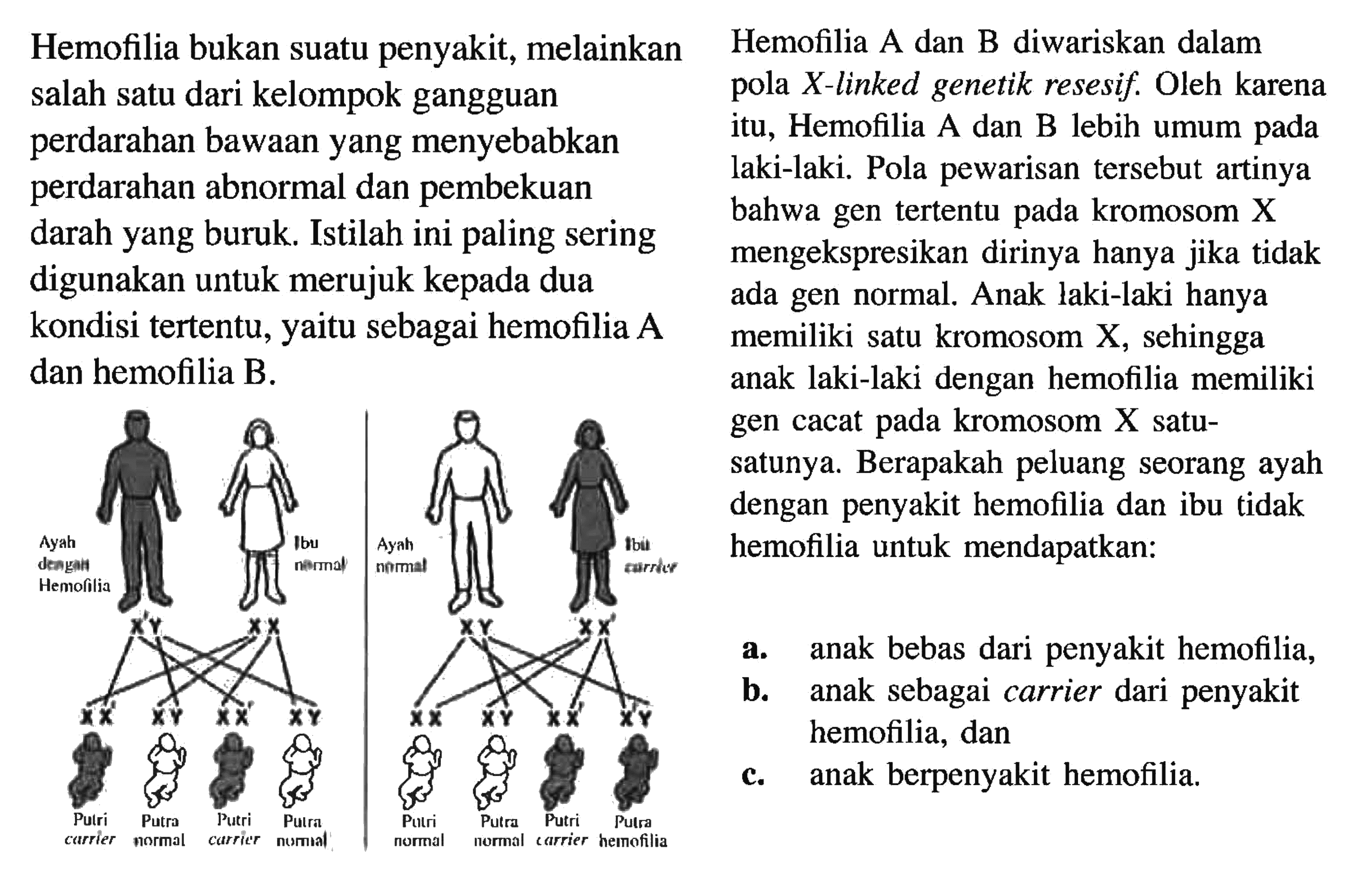 Hemofilia bukan suatu penyakit, melainkan salah satu dari kelompok gangguan perdarahan bawaan yang menyebabkan perdarahan abnormal dan pembekuan darah yang buruk. Istilah ini paling sering digunakan untuk merujuk kepada dua kondisi tertentu, yaitu sebagai hemofilia A dan hemofilia B. Ayah dengan Hemofilia Ibu normal X'Y XX XX' Putri carrier XY Putra Normal XX' Putri carrier XY Putra normal Ayah normal Ibu Carrier XY XX' XX Putri normal XY Putra normal XX' Putri carrier X'Y Putra hemofilia Hemofilia A dan B diwariskan dalam pola X-linked genetik resesif. Oleh karena itu, Hemofilia A dan B lebih umum pada laki-laki. Pola pewarisan tersebut artinya bahwa gen tertentu pada kromosom X mengekspresikan dirinya hanya jika tidak ada gen normal. Anak laki-laki hanya memiliki satu kromosom X, sehingga anak laki-laki dengan hemofilia memiliki gen cacat pada kromosom X satu-satunya. Berapakah peluang seorang ayah dengan penyakit hemofilia dan ibu tidak hemofilia untuk mendapatkan: a. anak bebas dari penyakit hemofilia, b. anak sebagai carrier dari penyakit hemofilia, dan c. anak berpenyakit hemofilia. 