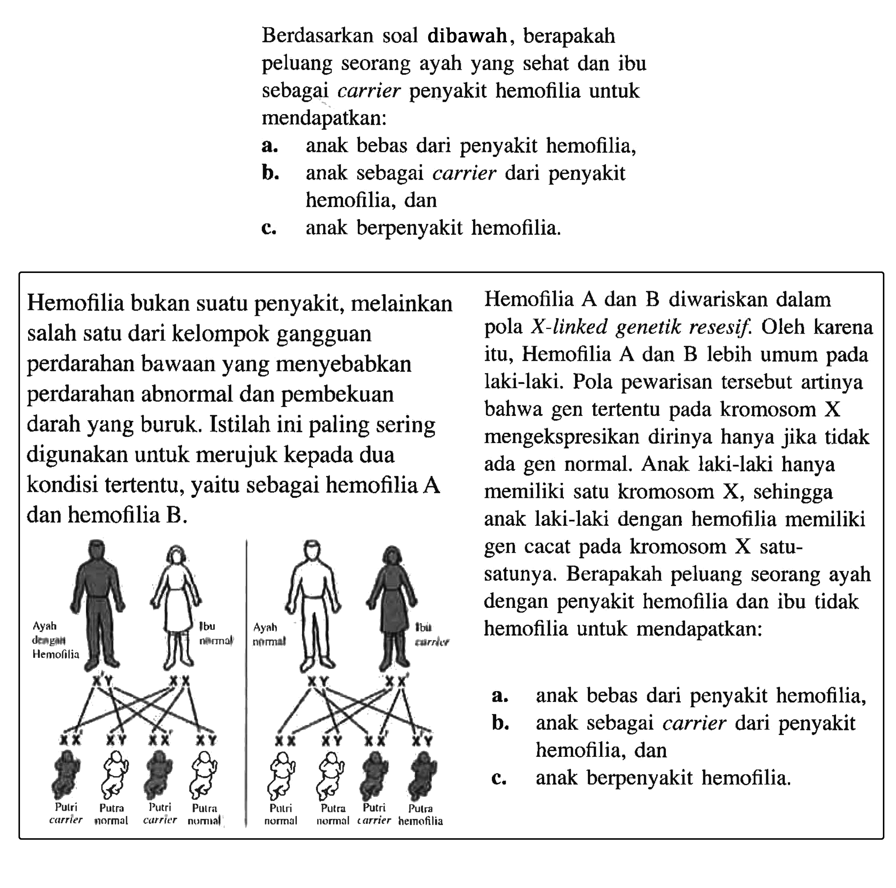 Berdasarkan soal dibawah, berapakah peluang seorang ayah yang sehat dan ibu sebagai carrier penyakit hemofilia untuk mendapatkan: a. anak bebas dari penyakit hemofilia, b. anak sebagai carrier dari penyakit hemofilia, dan c. anak berpenyakit hemofilia. Hemofilia bukan suatu penyakit, melainkan salah satu dari kelompok gangguan pendarahan bawaan yang menyebabkan perdarahan abnormal dan pembekuan darah yang buruk. Istilah ini paling sering digunakan untuk merujuk kepada dua kondisi tertentu, yaitu sebagai hemofilia A dan hemofilia B. Hemofilia A dan B diwariskan dalam pola X-linked genetik resesif. Oleh karena itu, Hemofilia A dan B lebih umum pada laki-laki. Pola pewarisan tersebut artinya bahwa gen tertentu pada kromosom X mengekspresikan dirinya hanya jika tidak ada gen normal. Anak laki-laki hanya memiliki satu kromosom X, sehingga anak laki-laki dengan hemofilia memiliki gen cacat pada kromosom X satu-satunya. Berapakah peluang seorang ayah dengan penyakit hemofilia dan ibu tidak hemofilia untuk mendapatkan: a. anak bebas dari penyakit hemofilia, 
b. anak sebagai carrier dari penyakit hemofilia, dan 
c. anak berpenyakit hemofilia.