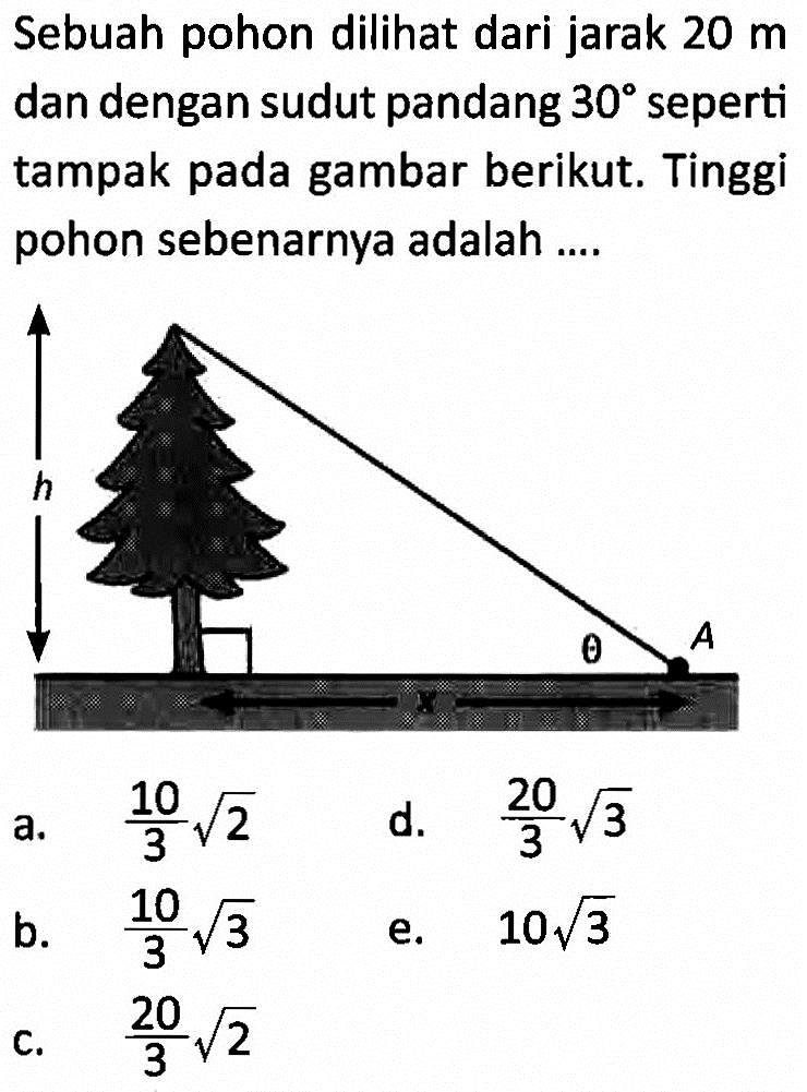 Sebuah pohon dilihat dari jarak 20 m dan dengan sudut pandang 30 seperti tampak pada gambar berikut. Tinggi pohon sebenarnya adalah...