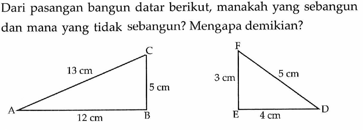 Dari pasangan bangun datar berikut, manakah yang sebangun dan mana yang tidak sebangun? Mengapa demikian? c a b 13 cm 5 cm 12 cm F E D 3 cm 5 cm 4 cm