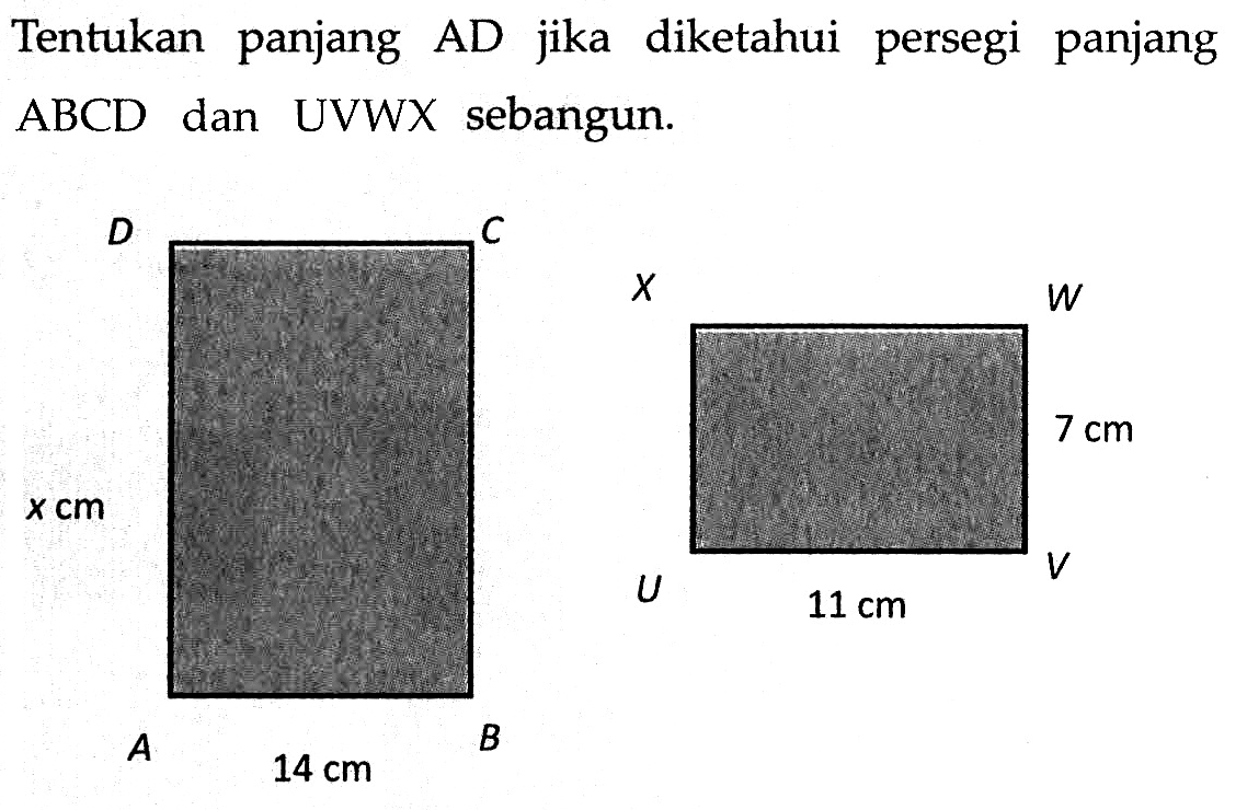 Tentukan panjang AD jika diketahui persegi panjang ABCD dan UVWX sebangun. ABCD x cm 14 cm UVWX 7 cm 11 cm