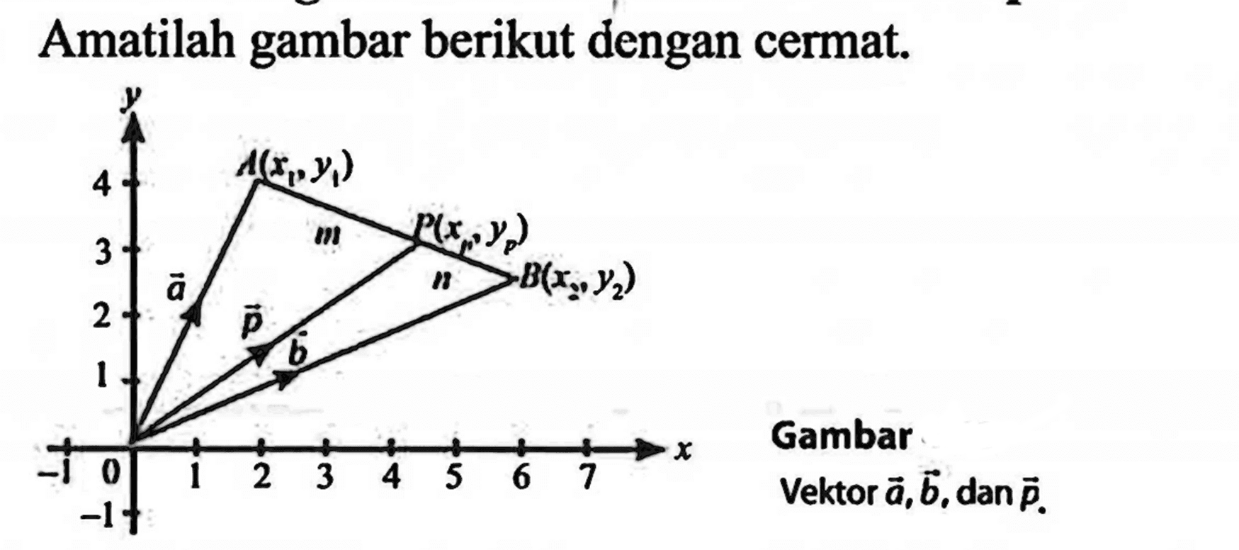 Amatilah gambar berikut dengan cermat.
x y 0 1 2 3 4 1 2 3 4 5 6 7 -1 -1 
Gambar vektor a, b dan p. 
vektor a vektor p vektor b A(x1,y1) P(x1,y1) B(x1,y1)