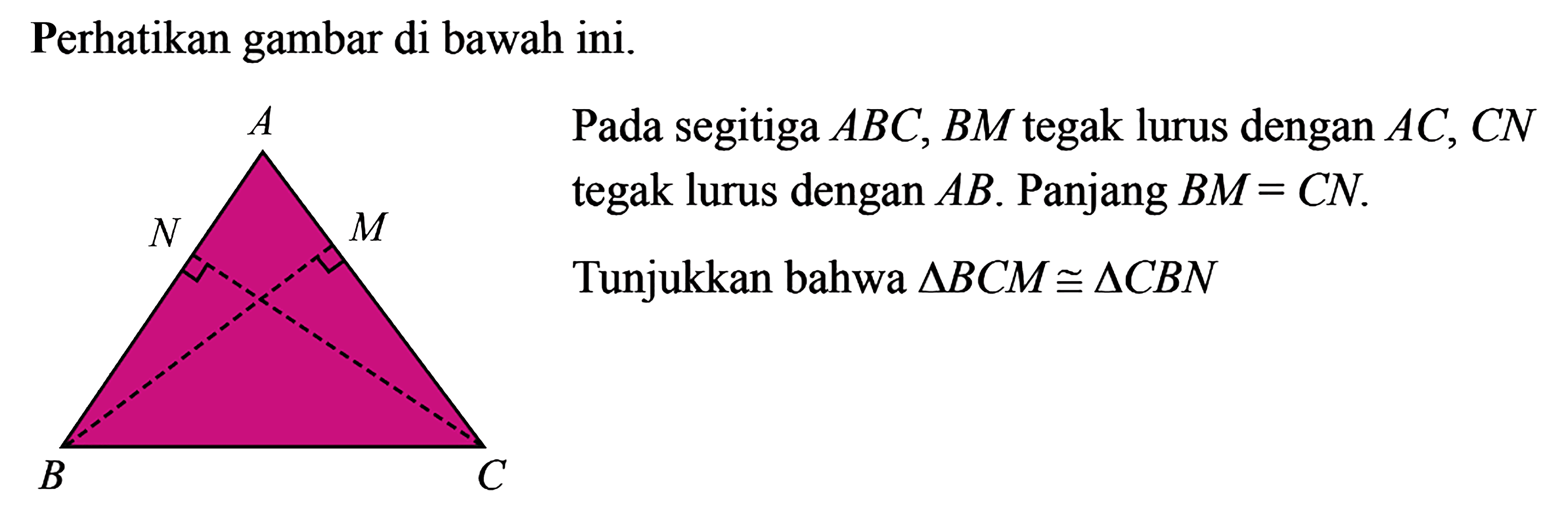 Perikan gambar di bawah ini.Pada segitiga  ABC, BM  tegak lurus dengan AC, CN tegak lurus dengan AB. Panjang BM=CN.Tunjukkan bahwa segitiga BCM kongruen segitiga CBN 