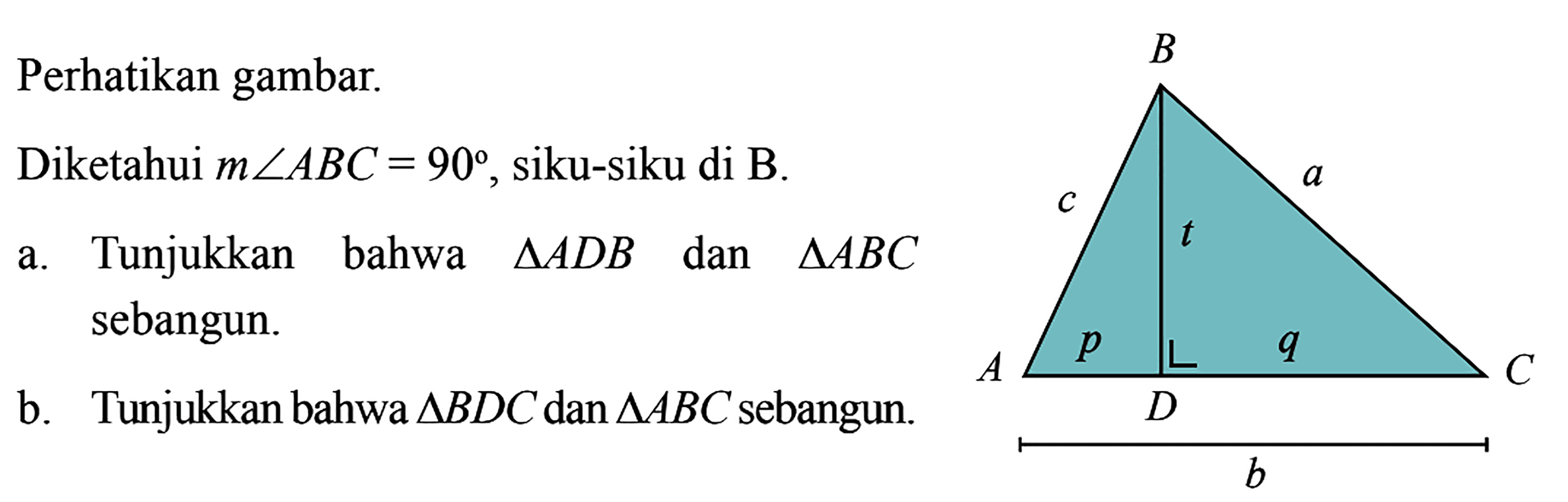 Perhatikan gambar. Diketahui m sudut ABC=90, siku-siku di B. a. Tunjukkan bahwa segitiga A D B dan segitiga ABC sebangun. b. Tunjukkan bahwa segitiga BDC dan segitiga ABC sebangun.