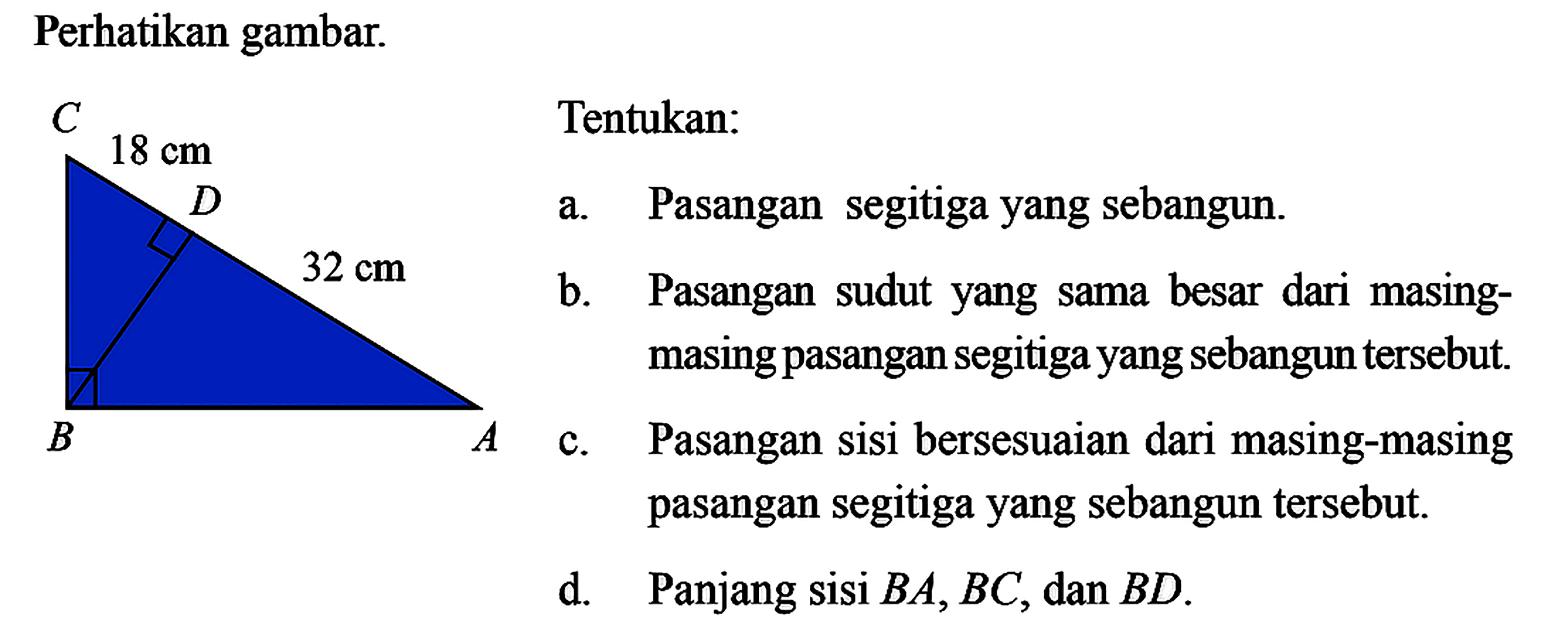 Perhatikan gambar.Tentukan:a. Pasangan segitigayang sebangun.b. Pasangan sudutyang sama besar dari masingmasing pasangan segitigayang sebangun tersebut.c. Pasangan sisi bersesuaian dari masing-masing pasangan segitigayang sebangun tersebut.d. Panjang sisi  B A, BC, dan B D .