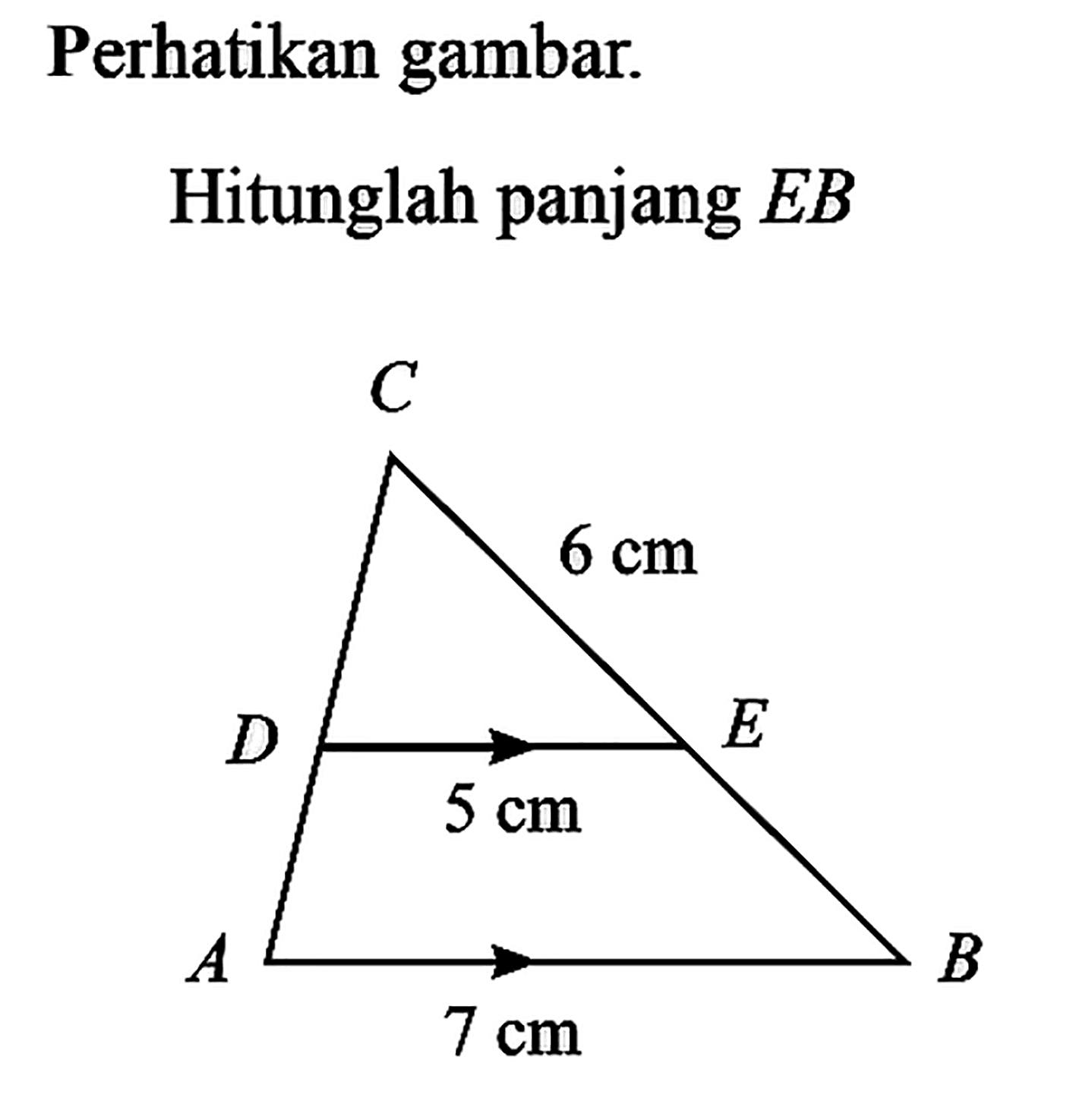 Perhatikan gambar. Hitunglah panjang EB. segitiga, 6 cm, 5 cm, 7 cm