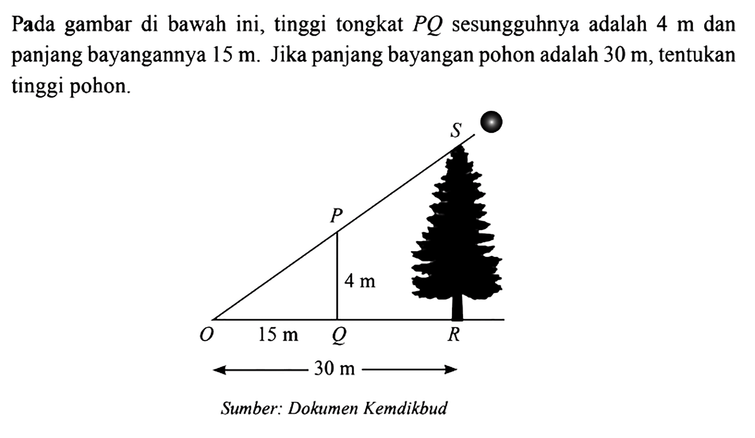 Pada gambar di bawah ini, tinggi tongkat  P Q  sesungguhnya adalah  4 m  dan panjang bayangannya  15 m . Jika panjang bayangan pohon adalah  30 m , tentukan tinggi pohon. S P 4 m O 15 m Q 30 m Sumber: Dokumen Kemdikbud