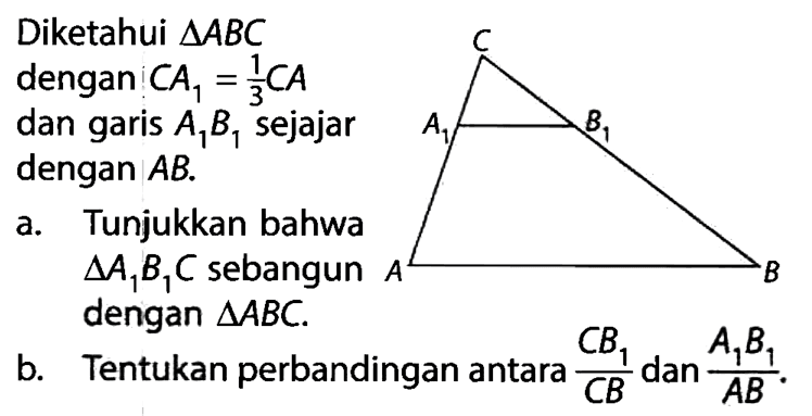 C A1 B1 A BDiketahui segitiga ABC dengan CA1=1/3 CA dan garis A1B1 sejajar dengan AB.a. Tunjukkan bahwa segitiga A1B1C sebangun dengan segitiga ABC. b. Tentukan perbandingan antara CB1/CB dan A1B1/AB.