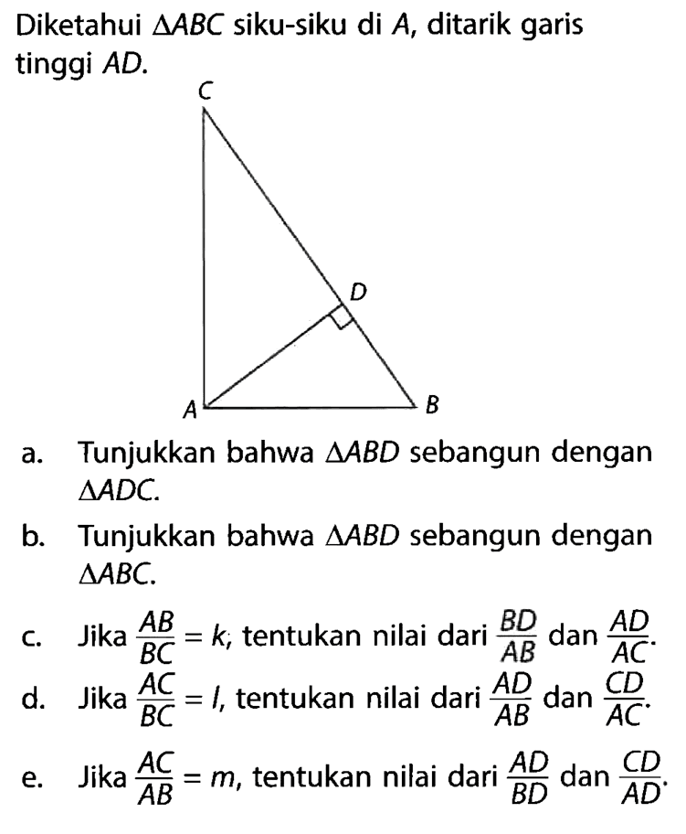 Diketahui  segitiga ABC  siku-siku di  A , ditarik garis tinggi  AD .a. Tunjukkan bahwa  segitiga ABD  sebangun dengan  segitiga ADC .b. Tunjukkan bahwa  segitiga AB D  sebangun dengan  segitiga ABC .c. Jika  AB/BC=k , tentukan nilai dari  BD/AB  dan  AD/AC .d. Jika  AC/BC=1 , tentukan nilai dari  AD/AB  dan  CD/AC .e. Jika  AC/AB=m , tentukan nilai dari  AD/B D  dan  CD/AD .