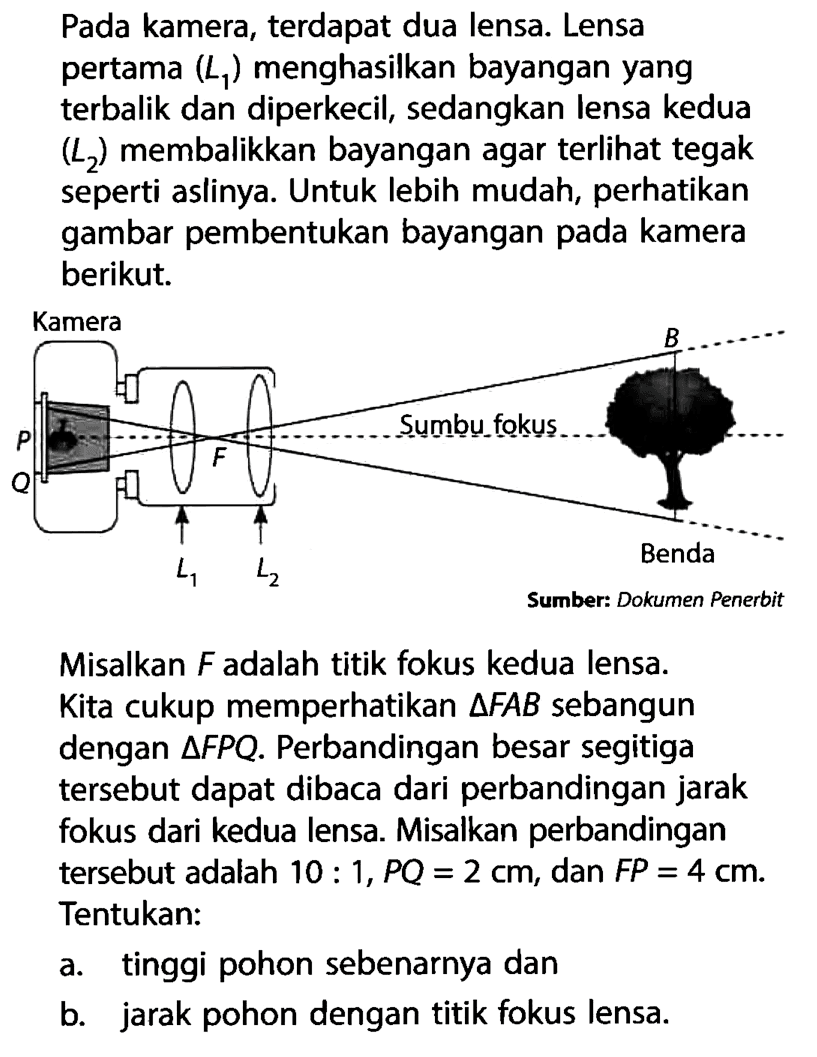 Pada kamera, terdapat dua lensa. Lensa pertama (L1) menghasilkan bayangan yang terbalik dan diperkecil, sedangkan lensa kedua (L2) membalikkan bayangan agar terlihat tegak seperti aslinya. Untuk lebih mudah, perhatikan gambar pembentukan bayangan pada kamera berikut. Kamera P Q F L1 L2 Sumbu fokus B Benda Sumber: Dokumen Penerbit Misalkan F adalah titik fokus kedua lensa. Kita cukup memperhatikan segitiga FAB sebangun dengan segitiga FPQ. Perbandingan besar segitiga tersebut dapat dibaca dari perbandingan jarak fokus dari kedua lensa. Misalkan perbandingan tersebut adalah 10:1, PQ=2 cm, dan FP=4 cm. Tentukan: a. tinggi pohon sebenarnya dan b. jarak pohon dengan titik fokus lensa.