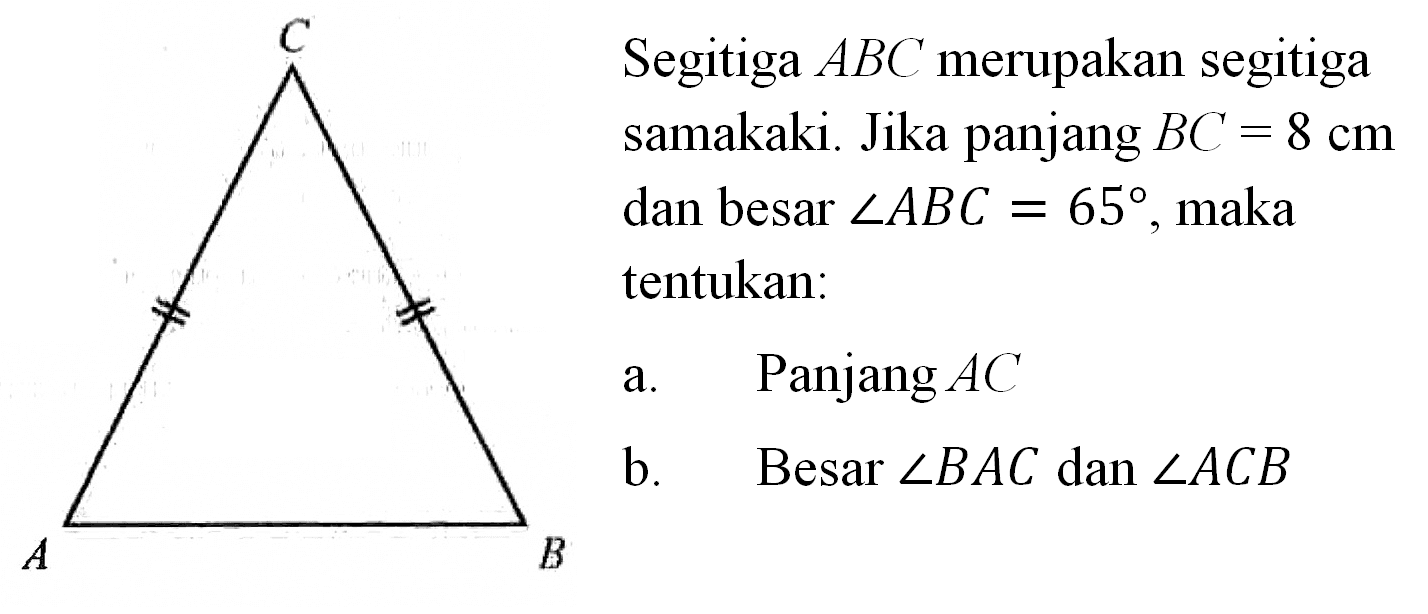 Segitiga  ABC  merupakan segitiga samakaki. Jika panjang  BC=8 cm  dan besar  sudut ABC=65 , maka tentukan: C A B a. Panjang  AC  b. Besar  sudut BAC  dan  sudut ACB 