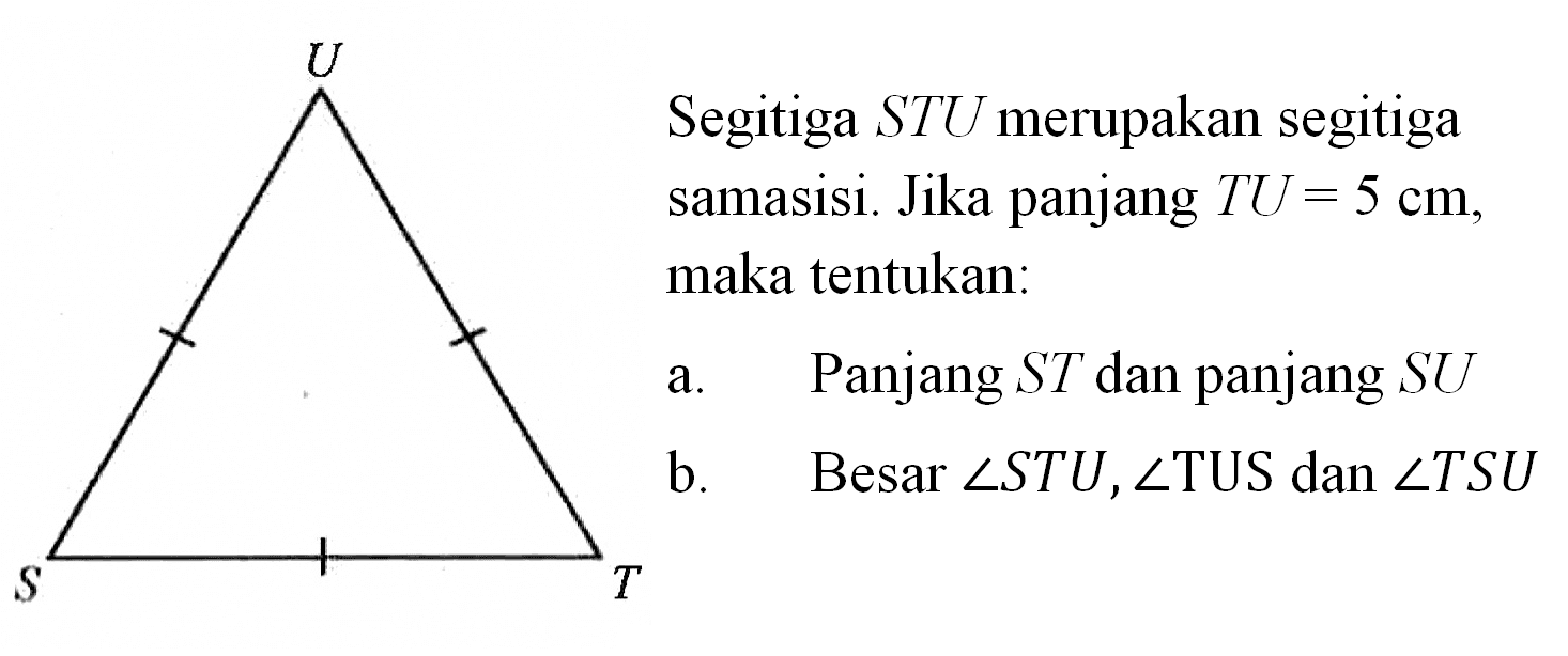 S T U Segitiga STU merupakan segitiga samasisi. Jika panjang TU=5 cm, maka tentukan: a. Panjang ST dan panjang SU b. Besar sudut STU, sudut TUS dan sudut TSU 