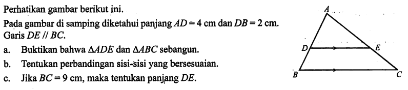 Perhatikan gambar berikut ini. Pada gambar di samping diketahui panjang AD=4 cm dan DB=2 cm. Garis DE // BC. a. Buktikan bahwa  segitiga ADE dan segitiga ABC sebangun. b. Tentukan perbandingan sisi-sisi yang bersesuaian. c. Jika BC=9 cm, maka tentukan panjang DE.