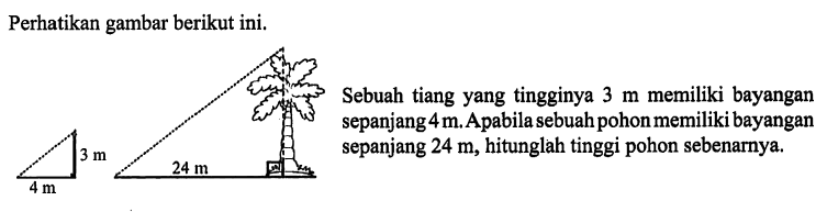 Perhatikan gambar berikut ini. 3 m 4 m 24 mSebuah tiang yang tingginya 3 m memiliki bayangan sepanjang 4 m. Apabila sebuah pohon memiliki bayangan sepanjang 24 m, hitunglah tinggi pohon sebenarnya.