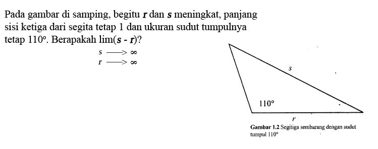 Pada gambar di samping, begitu  r  dan  s  meningkat, panjang sisi ketiga dari segita tetap 1 dan ukuran sudut tumpulnya tetap  110 . Berapakah lim (s-r) ? 
s -> tak hingga 
r -> tak hingga
r s 110
Gambar 1.2 Segitiga sembarang dengan sudut tumpul  110 