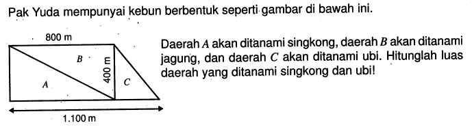 Pak Yuda mempunyai kebun berbentuk seperti gambar di bawah ini.Daerah A akan ditanami singkong, daerah B akan ditanami jagung, dan daerah C akan ditanami ubi. 