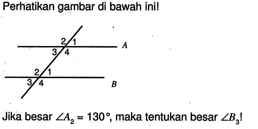 Perhatikan gambar di bawah ini! Jika besar sudut A2=130, maka tentukan besar sudut B3!