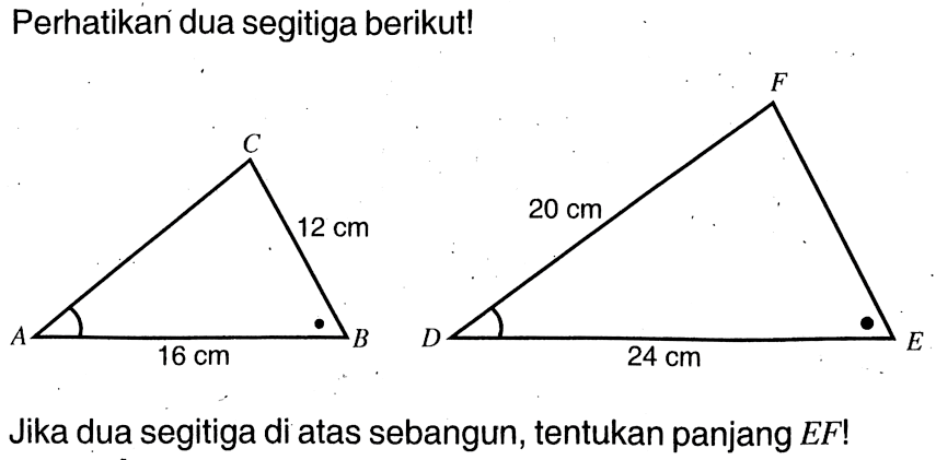 Perhatikan dua segitiga berikut!Jika dua segitiga di atas sebangun, tentukan panjang  EF! 16 cm 12 cm 20 cm 24 cm