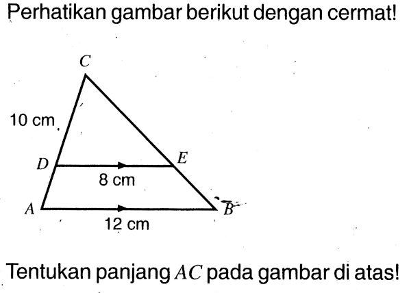 Perhatikan gambar berikut dengan cermat! 10 cm 8 cm 12 cm
Tentukan panjang  AC  pada gambar di atas!