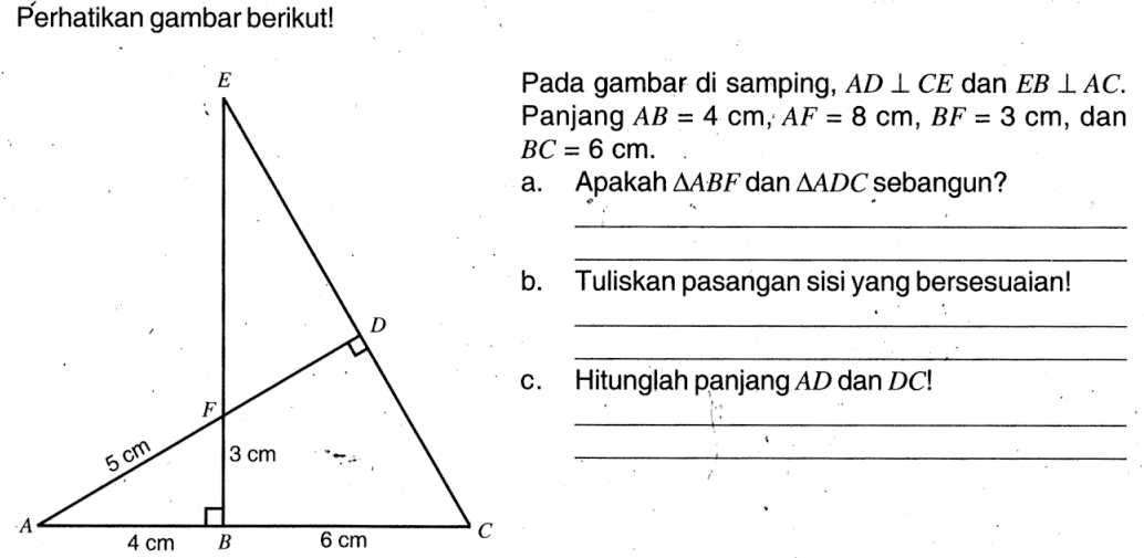 Perhatikan gambar berikut! E F D 5 cm 3 cm A 4 cm B 6 cm C Pada gambar di samping, AD tegak lurus CE dan EB tegak lurus AC.Panjang  AB=4 cm, AF=8 cm, BF=3 cm, dan BC=6 cm.a. Apakah segitiga ABF dan segitiga ADC sebangun?b. Tuliskan pasangan sisi yang bersesuaian!c. Hitunglah panjang  AD dan DC !