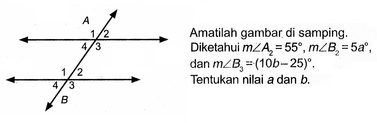 Amatilah gambar di samping. Diketahui m sudut A2=55, m sudut B2=5a, dan m sudut B3=(10 b-25). Tentukan nilai a dan b.