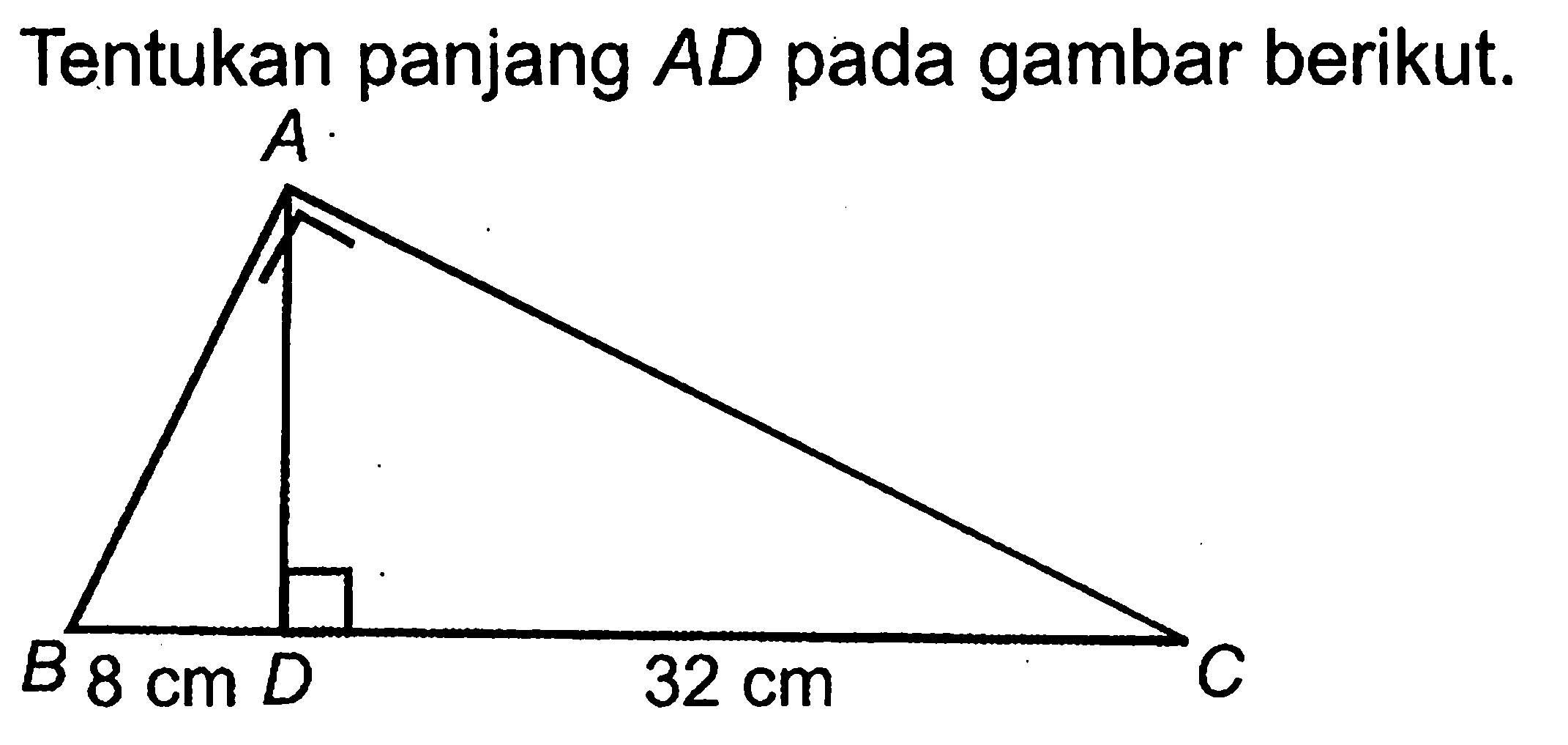 Tentukan panjang AD pada gambar berikut.A B C D 8 cm 32 cm