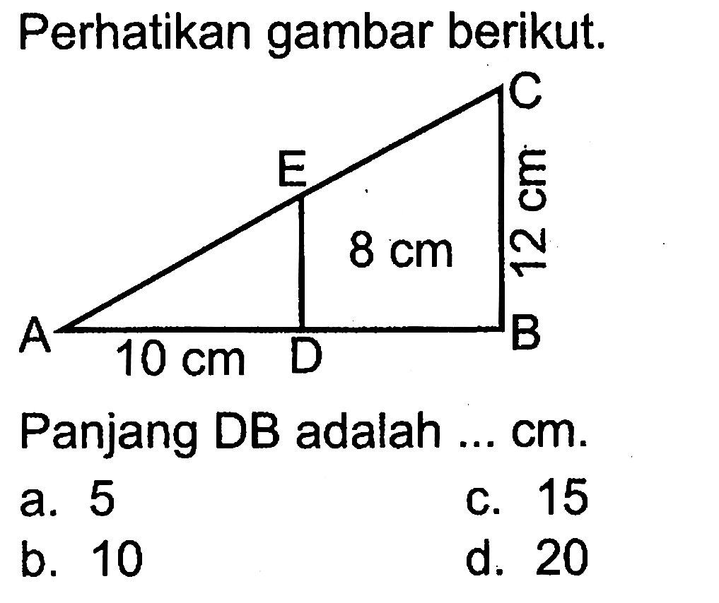Perhatikan gambar berikut. 8 cm 12 cm 10 cm Panjang DB adalah ... cm .