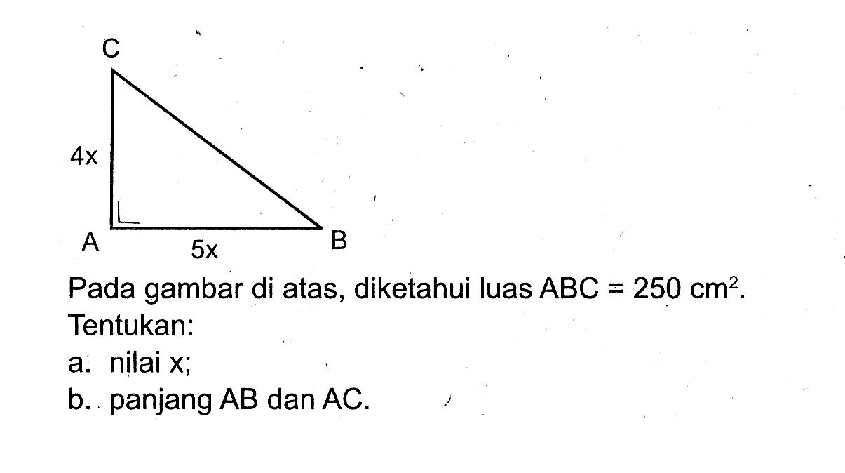 ABC 4x 5x Pada gambar di atas, diketahui luas ABC=250 cm^2. Tentukan:a. nilai x;b. panjang AB dan AC.