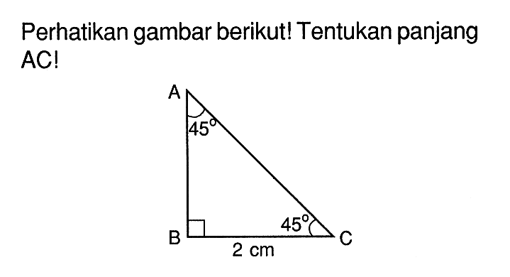 Perhatikan gambar berikut! Tentukan panjang AC! A B C 45 45 2 cm