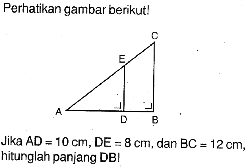 Perhatikan gambar berikut! C E A D BJika  AD=10 cm, DE=8 cm , dan  BC=12 cm , hitunglah panjang DB!