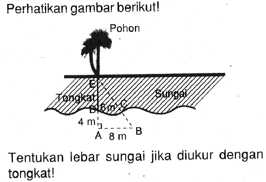 Perhatikan gambar berikut! Pohon A B C D E Tongkat Sungai 6 m 8 mTentukan lebar sungai jika diukur dengan tongkat!