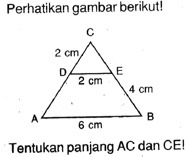 Perhatikan gambar berikut! C 2 cm D E 2 cm 4 cm A 6 cm B Tentukan panjang  AC dan CE!