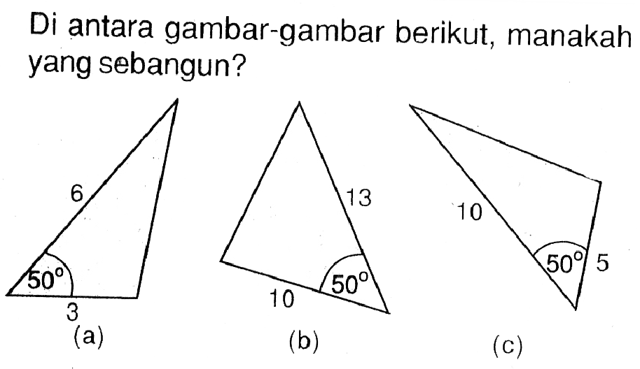 Di antara gambar-gambar berikut, manakah yang sebangun?(a) 6 50 3(b) 13 50 10(c) 10 50 5