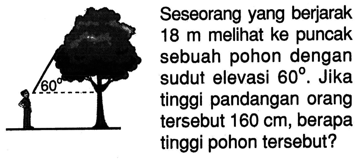 Seseorang yang berjarak 18 m melihat ke puncak sebuah pohon dengan sudut elevasi 60. Jika tinggi pandangan orang tersebut 160 cm, berapa tinggi pohon tersebut?