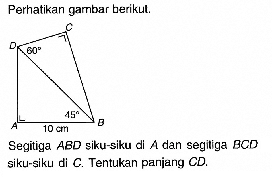 Perhatikan gambar berikut: 60 45 10 cm Segitiga ABD siku-siku di A dan segitiga BCD siku-siku di C. Tentukan panjang CD.