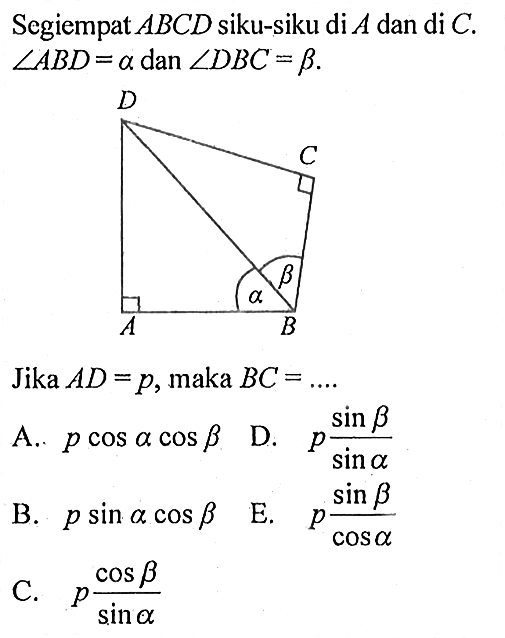 Segiempat ABCD siku-siku di A dan di C. sudut ABD=a dan sudut DBC=b. 
Jika  AD=p, maka BC=... 
A.  p cos a cos b 
D.  p (sin b)/(sin a) 
B.  p sin a cos b 
E.  p (sin b)/(cos a) 
C.  p (cos b)/( sin a)