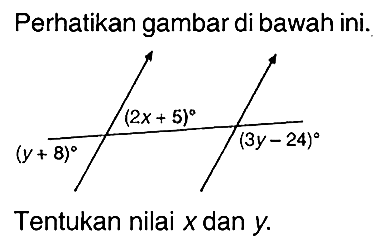 Perhatikan gambar di bawah ini. (y+8) (2x+5) (3y-24) Tentukan nilai x dan y.