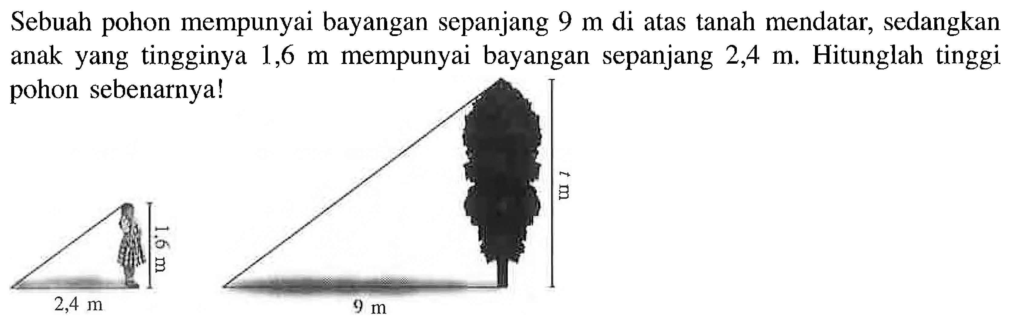 Sebuah pohon mempunyai bayangan sepanjang 9 m di atas tanah mendatar, sedangkan anak yang tingginya 1,6 m mempunyai bayangan sepanjang 2,4 m. Hitunglah tinggi pohon sebenarnya!