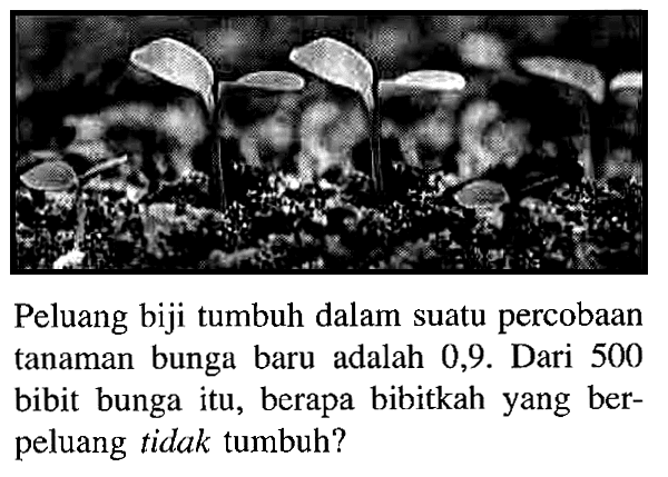 Peluang biji tumbuh dalam suatu percobaan tanaman bunga baru adalah 0,9. Dari 500 bibit bunga itu, berapa bibitkah yang berpeluang tidak tumbuh? 