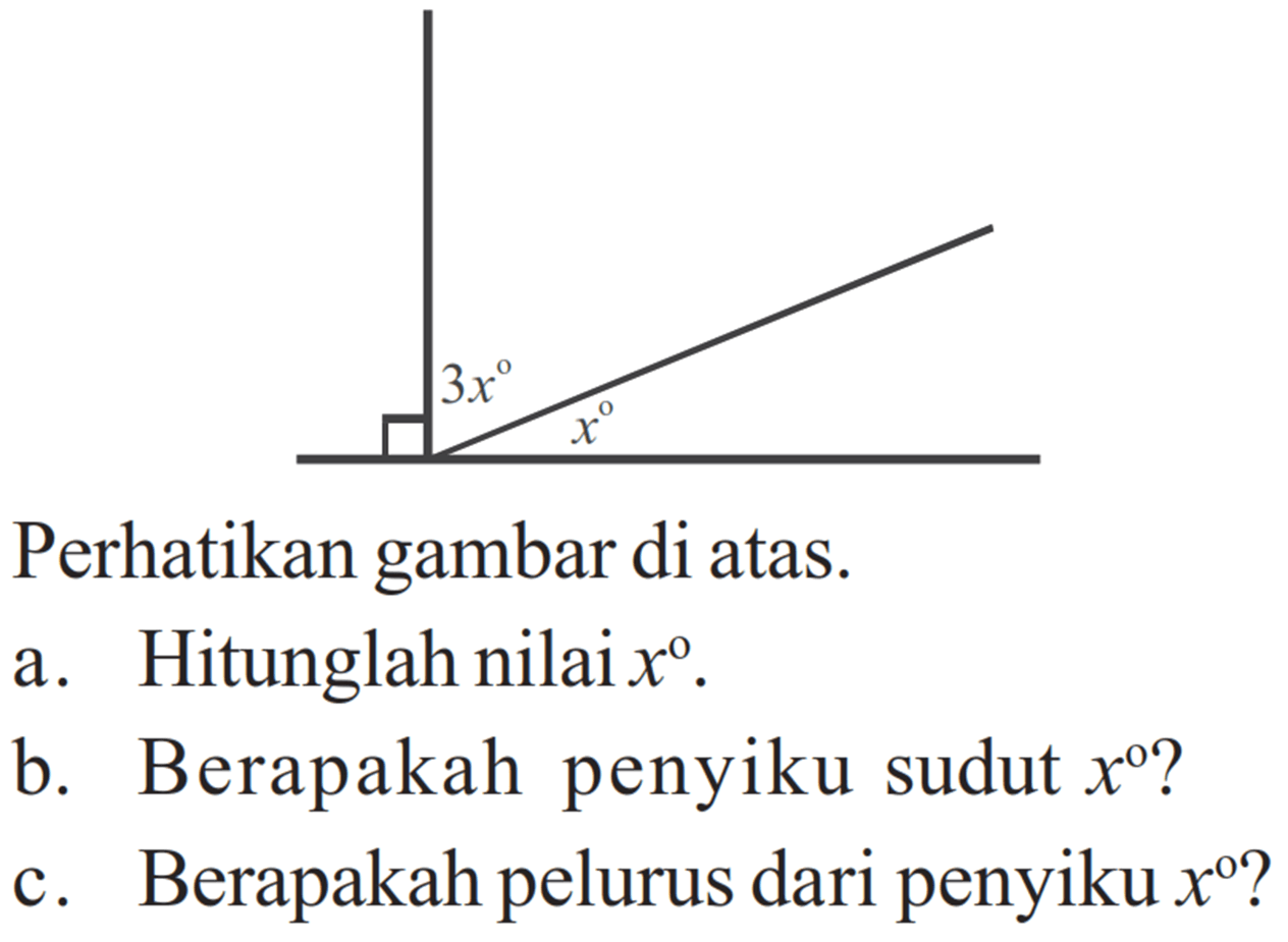 3x x Perhatikan gambar di atas. a. Hitunglah nilai x. b. Berapakah penyiku sudut x ? c. Berapakah pelurus dari penyiku x ?