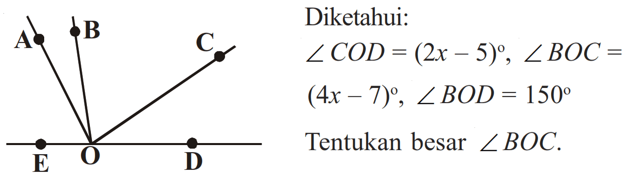 A B C E O D 
Diketahui: 
sudut COD = (2x - 5), sudut BOC = (4x - 7), sudut BOD = 150 
Tentukan besar sudut BOC.